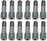 Bremssattelbolzen Hinten - Caliper Bolt  Corvette C6 Z06 06-12